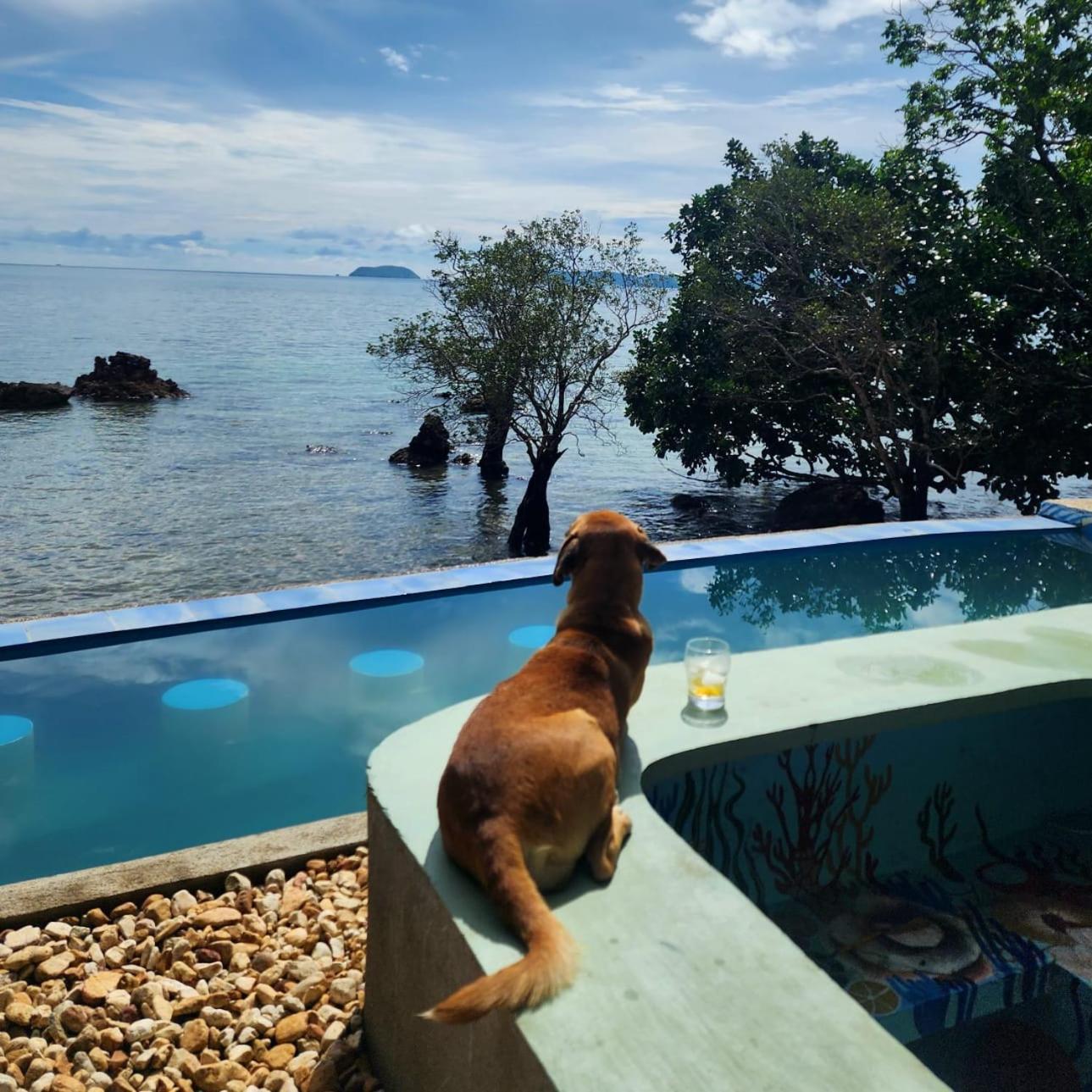 Cocovana Beach Resort (Adults Only) Busuanga Bagian luar foto